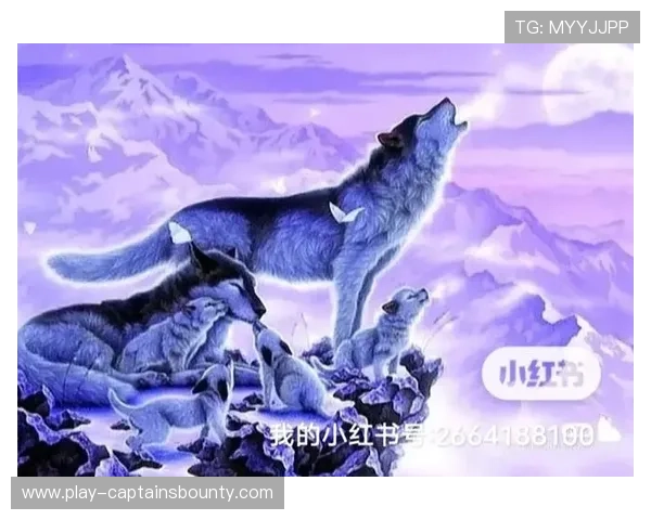 最后15秒三记三分，二师附中演绎“狼崽精神”逆转